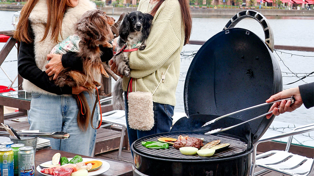 わんこと一緒にBBQ