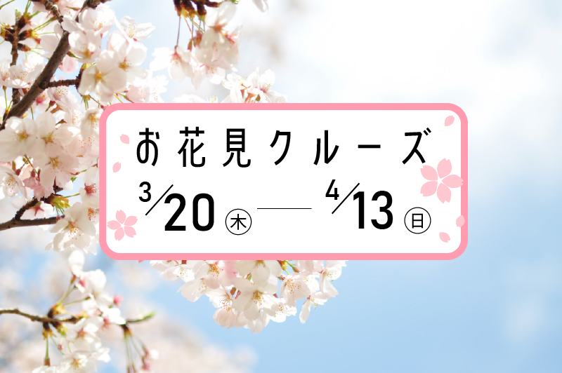 ヘミングウェイ横浜の「お花見クルーズ」